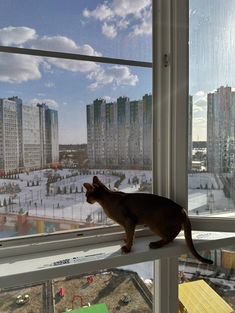 Москитные сетки «Антикошка» в Курильске
